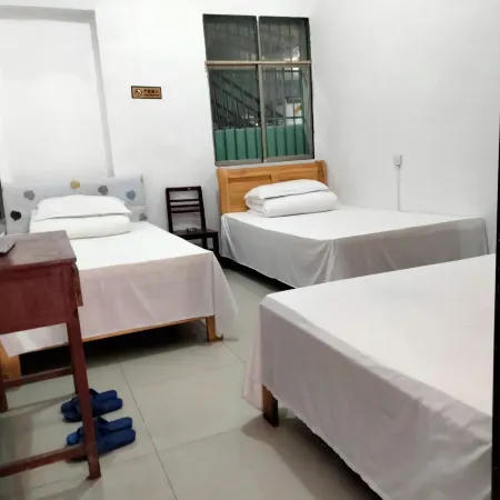 Ziyun County Dingxing Inn