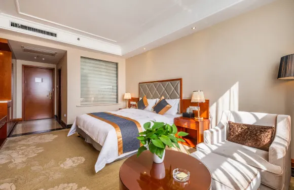 定遠龍星國際大酒店