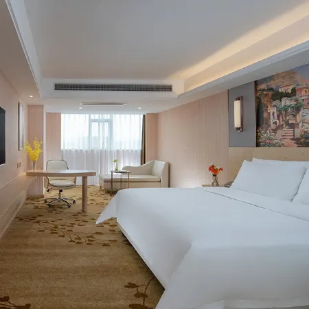 Vienna International Hotel (Shaoyang Dahan Automobile Building Materials City)
