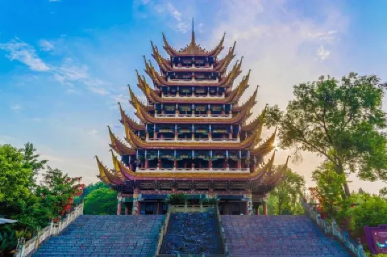 Mingxing Conifer Hotel