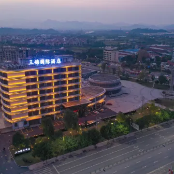 Sanjin International Hotel (Wuyi Station Development Avenue)