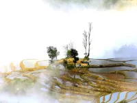 Jacky's Guesthouse Hotels in Yuanyang