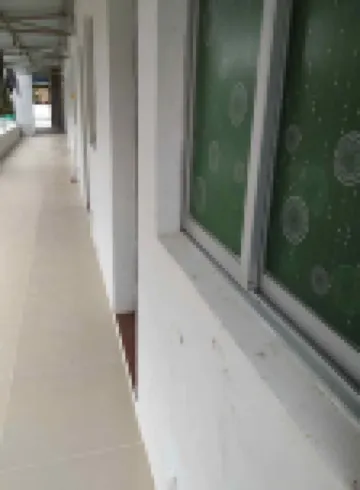 Jianfengling Fengyuan Farm Stay