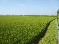Panjin Liujun Farmhouse