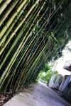 Lai Ba Country House - Farmhouses