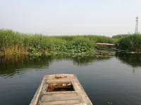 Anxin Zhanqiang Farmhouse Inn