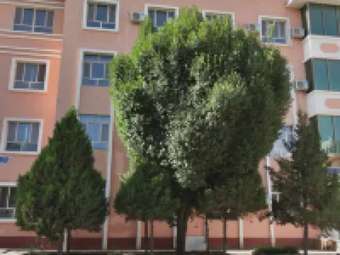 Bachu Mingdu Hotel Hoteles en Condado de Maralbexi