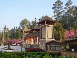 Longyun Yangshenggu Villa