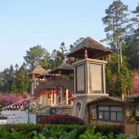 Longyun Yangshenggu Villa