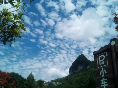 Nanjiang Xinyi Mountain Villa Отели в г. Наньцзян