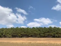 Baiyi Hotel(Yiwu International Trade City Chengxin Store)