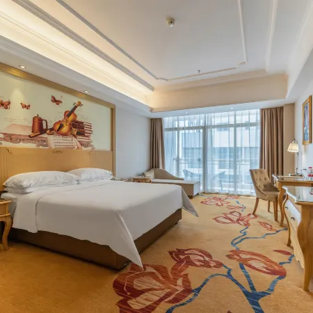 Vienna International Hotel (Danzhou Yangpu)
