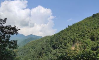 Shennong Valley Guxi Yunsu