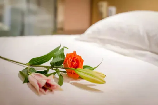 Longjing No.3 Resort Отели рядом с достопримечательностью «Shuangfeng Chayun Scenic Resort»