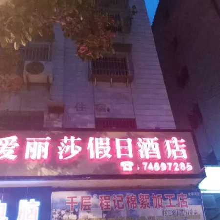 Dianjiang Alisa Holiday Hotel