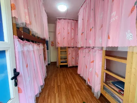 Sanya Traveler Youth Hostel (Dadonghai Branch)