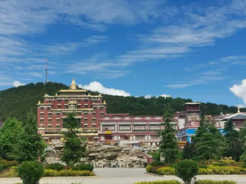 The moonbirds hostel