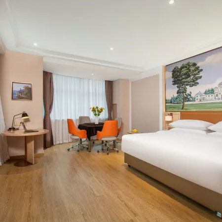 Vienna Hotel (Bazhong Nanjiang Yilian Home Store)