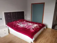 South Dingshui Business Hotel - Inns