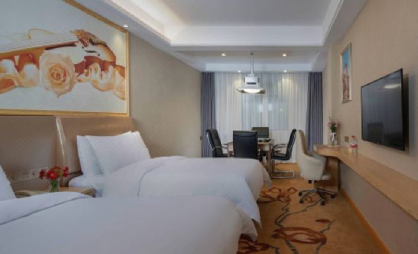 Vienna Hotel (Jinggangshan) - Housity