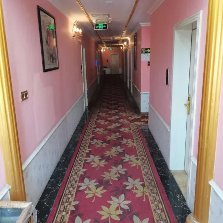 xinpengshangwujiudian