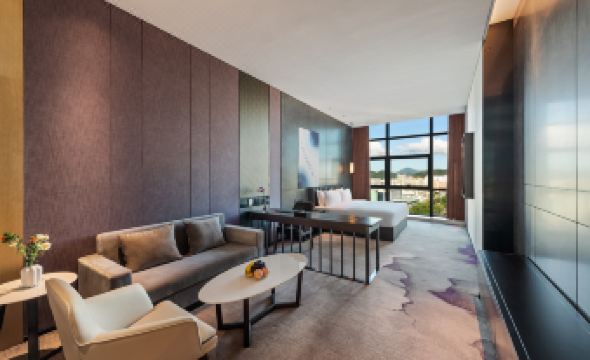 Mercure Shenzhen Longgang(Longgang Wanda Plaza Branch)