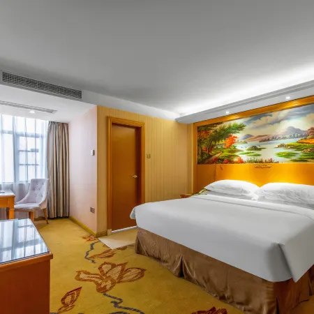 Vienna Hotel (Zhangshu Train Station)