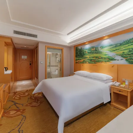 Vienna Hotel (Ruyuan Yao Culture Square)