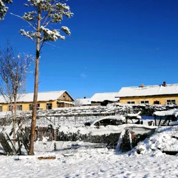 Mohe Dream Hostel