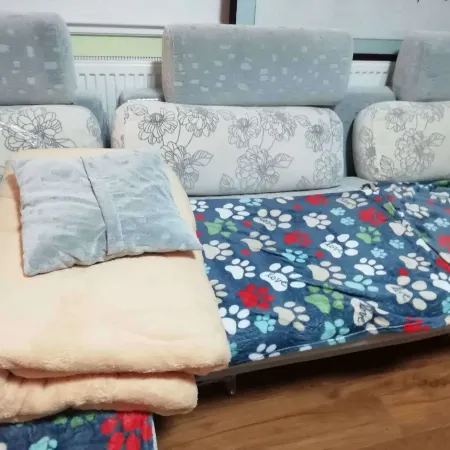 Happy Home Hostel