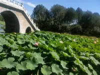 Luyuan Hotel Hotels in Aksay