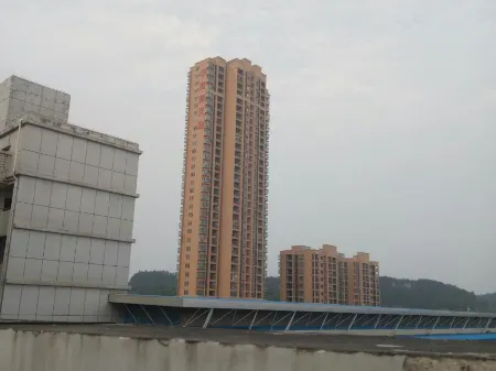 Yifengkeyunbinguan Отели в г. Ифэн