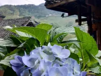 หลงจี จินเขิง ต้าจ้าย โฮสเทล