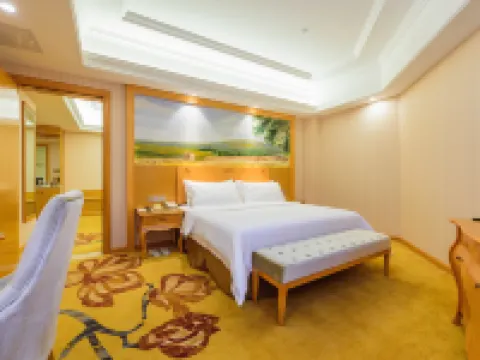 Vienna International Hotel (Liuzhou Wuxing Pedestrian Street) Hotels in Liuzhou