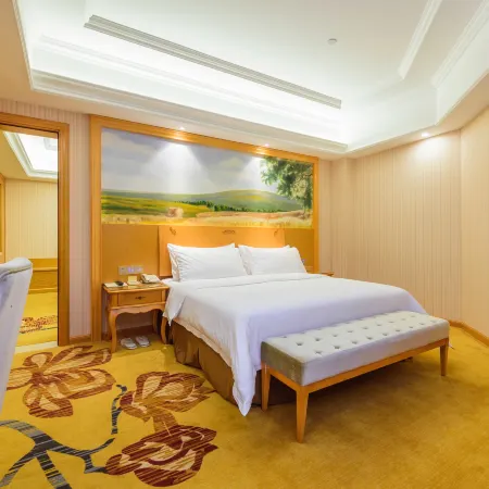 Vienna International Hotel (Liuzhou Wuxing Pedestrian Street)