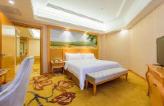Vienna International Hotel (Liuzhou Wuxing Pedestrian Street) Hotel a 