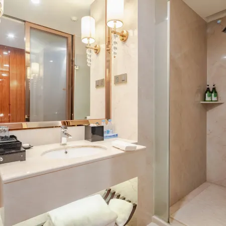 XINGYU GRAND KINGTOWN S HOTEL فنادق في نانتشونغ
