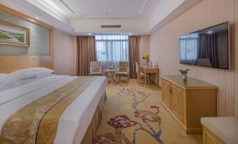 Vienna Hotel (Nanning Qingxiu Mountain)