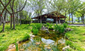 Huashan Self-driving Campground (Huashan Scenic Area Visitor Center Branch)