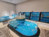 Xuanhe Jundu Hotel Hotels in Daming