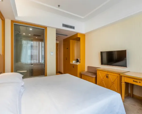 Vienna Hotel (Shenyang Central Street) Kamar Photos