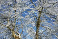 Jiujiang Hongfeng Hotel