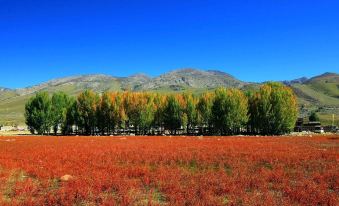 Daocheng sirang wangpi Inn