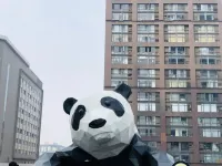 GreenTree Inn Express Hotel (Chengdu North Railway Station Saiyuntai Metro Station) Hotels in Chengdu