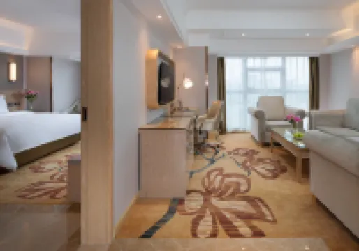 Vienna International Hotel (Shaoyang Dahan Pedestrian Street)