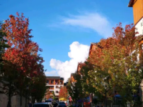 Rainforest Pavilion Homestay (Libo Xiaoqikong Scenic Area Dongmen Branch)