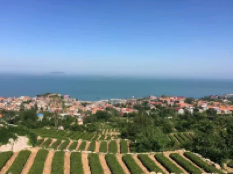 青島嶗山山海一家觀海旅店