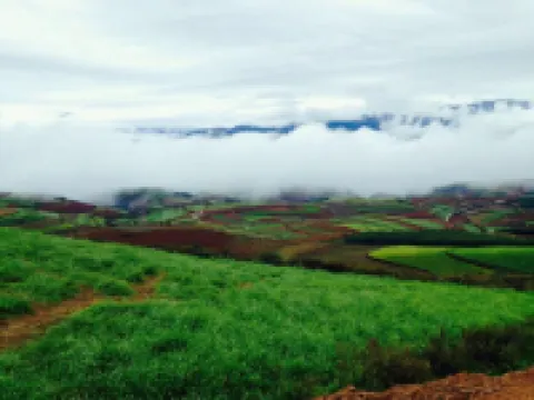 Kunming Hongtu Qingyuan Farm Stay
