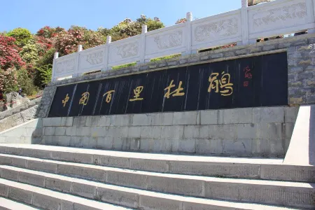 Baili Rhododendron  Language HallInn Отели рядом с достопримечательностью «Shiniu Tourism Town»