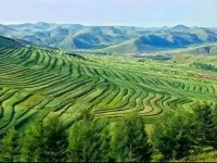 Lu Yu Farmhouse